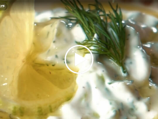 طرز تهیه سس زاتزیکی