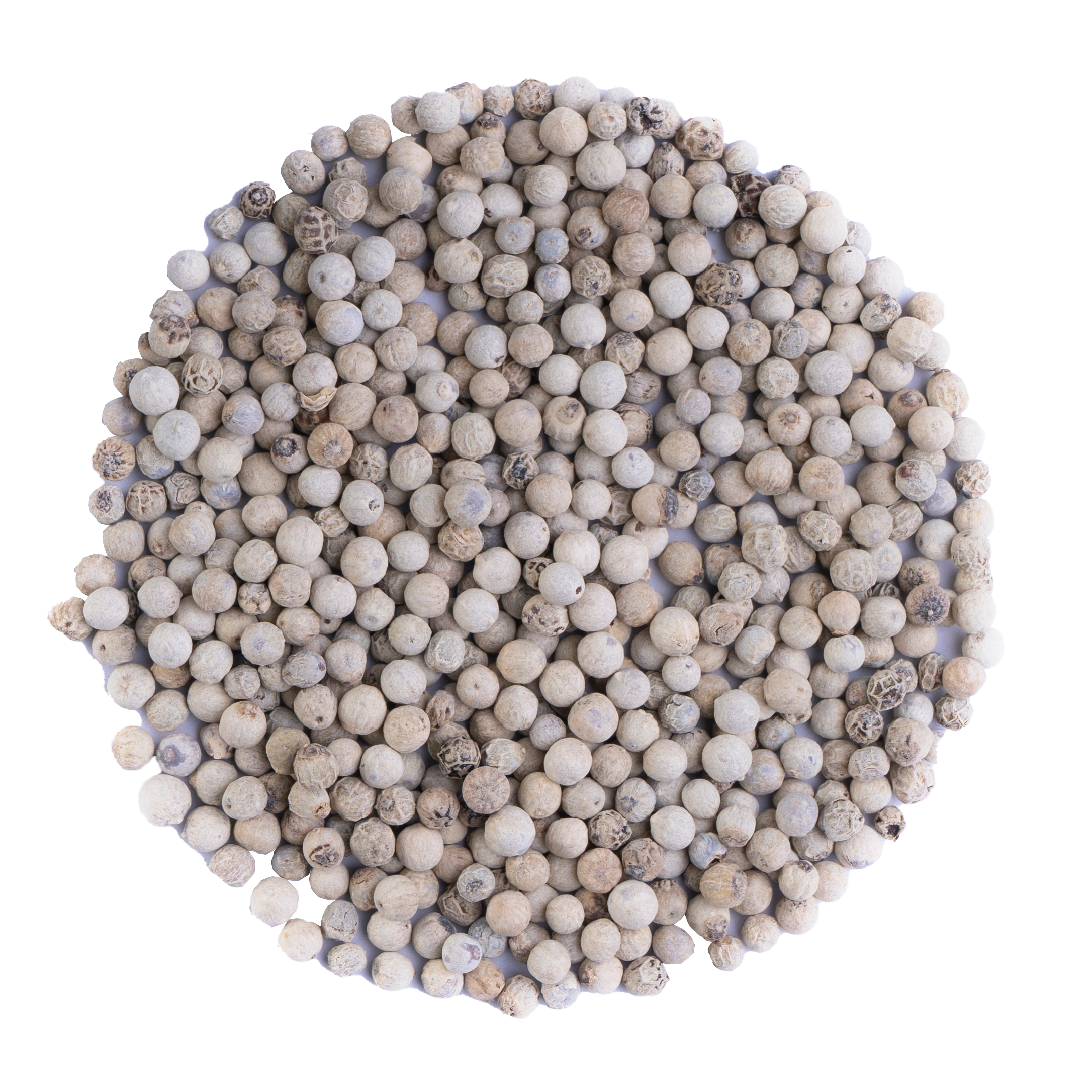 فلفل سفید آسیاب نشده